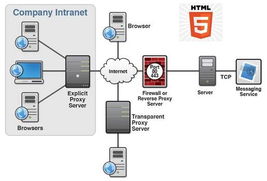 HTML5培训与开发 火龙果软件助力软件开发技能提升